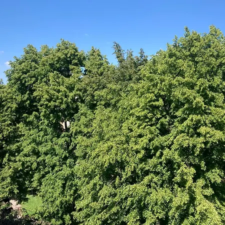 Appartement Wars&sawa Warschau